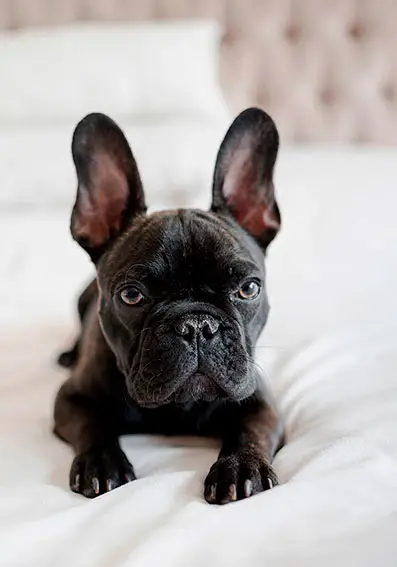 Photo before custom watercolor treatment – personalized watercolor preview